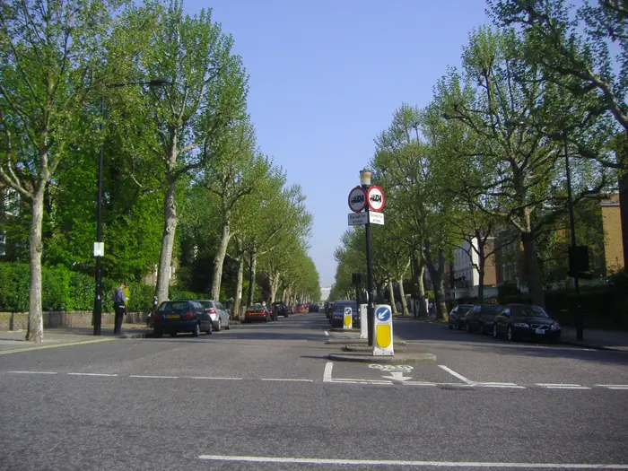 The wide, tree-lined avenue of Hamilton Terrace in St John's Wood